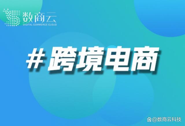 天博app外贸网站建站公司选择指南：避免常见陷阱与误区｜数商云(图1)